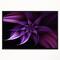 Designart - Fractal Flower Purple - Floral Art Framed Canvas Print